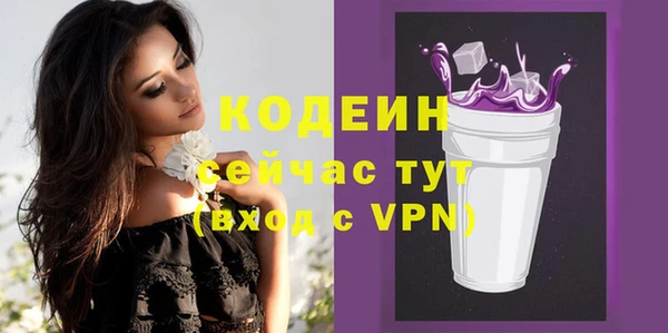 тгк Инта