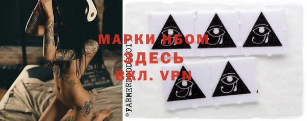 тгк Инта