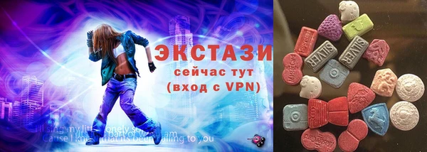 амф Гусев