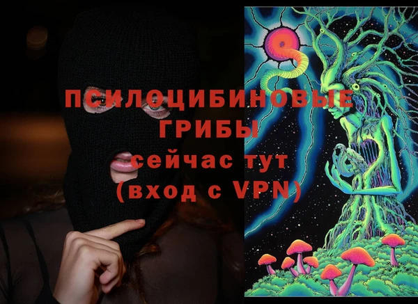 тгк Инта