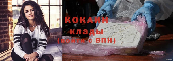 тгк Инта