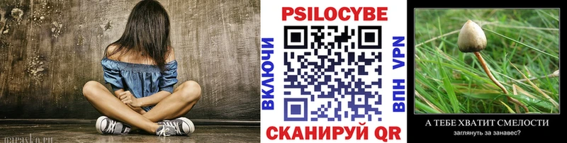 Галлюциногенные грибы Psilocybine cubensis  Купить  Козьмодемьянск 