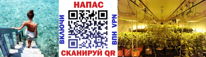 Купить  Козьмодемьянск  Каннабис конопля 